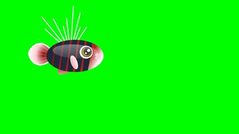 Parrot Professional on Chroma Key for Compositing 動画素材 336959182