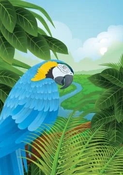 Parrot In A Rainforest 스톡 일러스트
