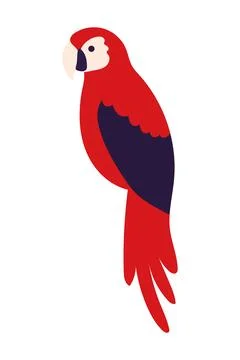 Parrot red illustration Stock Illustration