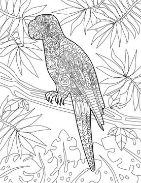 Parrot Resting On A Tree Branch With Leafy Brackground Colorless Line Drawing Illustrazione stock