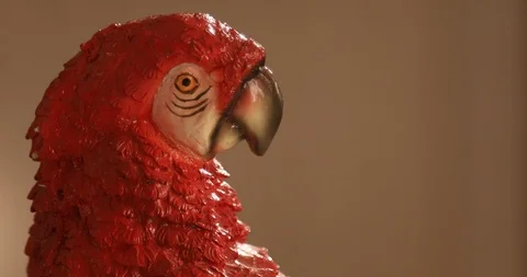 Parrot sculpture in House Stock Footage 99149953