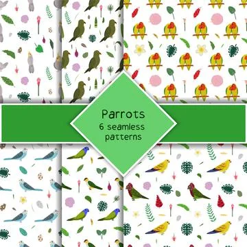Parrot seamless pattern collection in cartoon style. Parrots cockatiel, kea Stock Illustration