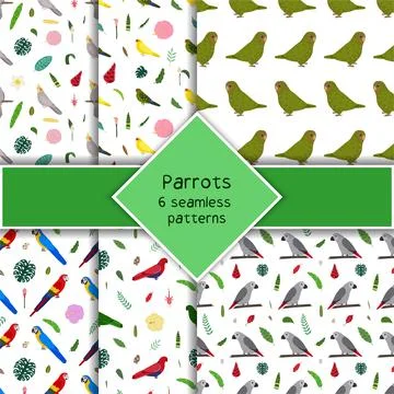 Parrot seamless pattern collection in cartoon style. Parrots owl, macaw, grey Illustrazione stock
