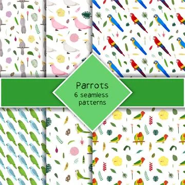Parrot seamless pattern collection in cartoon style. Parrots macaw, pink and Illustrazione stock