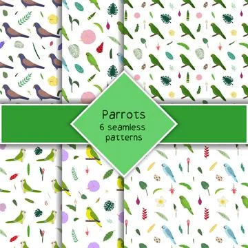 Parrot seamless pattern collection in cartoon style. Parrots bronze wings 스톡 일러스트