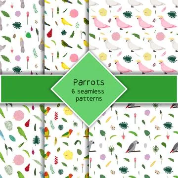 Parrot seamless pattern collection in cartoon style. Parrots kakariki, cocckatoo 스톡 일러스트