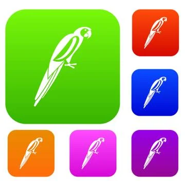 Parrot set collection Stock Illustration