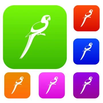 Parrot set collection Stock Illustration