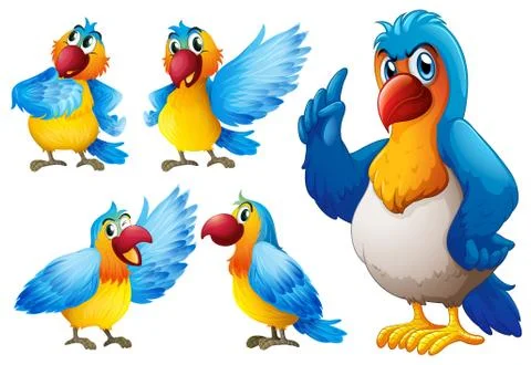 Parrot set Stock Illustration