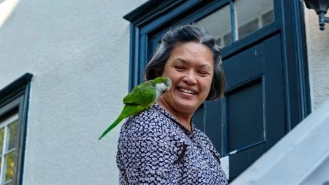 Parrot on Shoulder Stock Photos