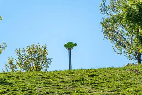 Parrot sits atop tall post, surrounded by green trees and blue sky Foto stock