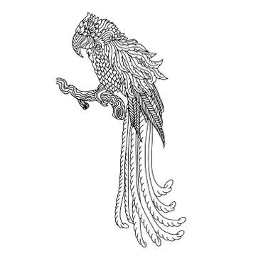 Parrot sketch. Doodle bird pattern. Vector illustration. Stock Illustration