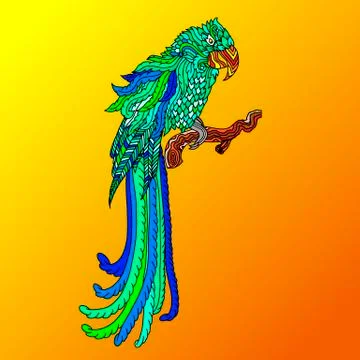 Parrot sketch. Doodle bird pattern. Vector illustration. Stock Illustration