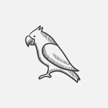 Parrot sketch icon Stock Illustration