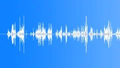 Parrot Sp Recorded InSound Effect
