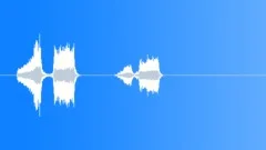 Parrot squawking Sound Effect
