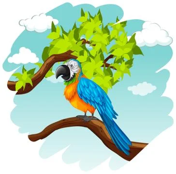 Parrot standing on branch Illustrazione stock