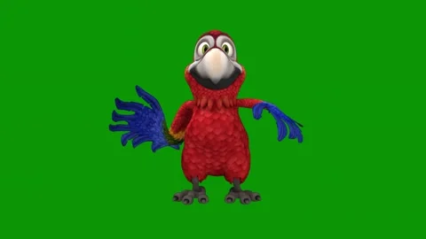 Parrot standing green screen animated chromakey movement scene motion Stock Footage 314068014