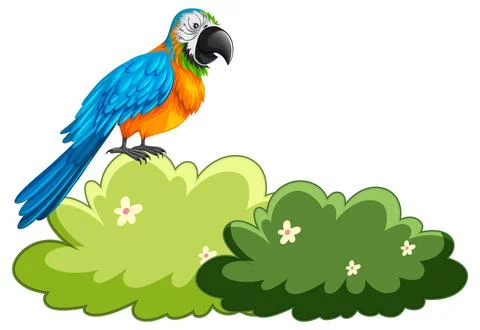 Parrot staning on a bush Illustrazione stock