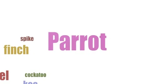 Parrot Tag Cloud Animated On White Background Video stock 107209974