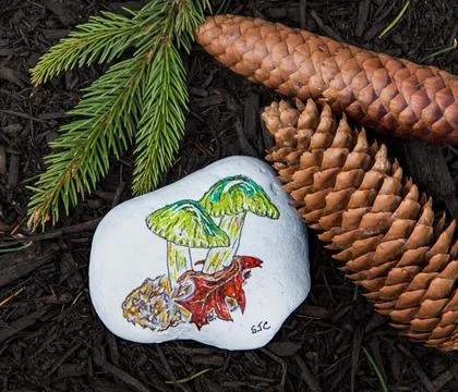Parrot Toadstools Painted Rock on Pine Mulch Background Foto stock