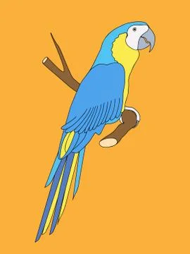 Parrot on the tree Stock Illustration