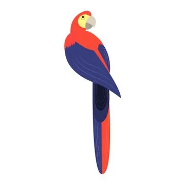Parrot - vector illustration Stock Illustration