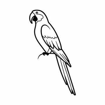 Parrot Vector Illustration Minimal Flat Style Cl (1) vector illustration de.. イラスト素材