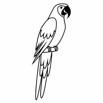 Parrot Vector Illustration Minimal Flat Style Cl vector illustration design 8 イラスト素材