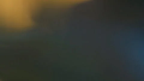 Parrot from very close range Stock Footage 106709612