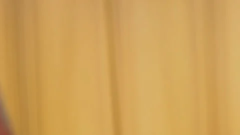 Parrot from very close range Stock Footage 113688801