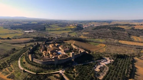 ParrotDisco Stock Footage 105696987