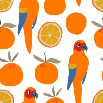 Parrots and oranges pattern on white background. Tropical pattern. Illustrazione stock