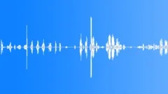 Parrots and Parakeets, Chirp Calls and Talking, Playful, Coo - Seamless Looping Sound Effect