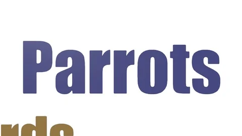Parrots Animated Word Cloud On White Background Stock Footage 99620611