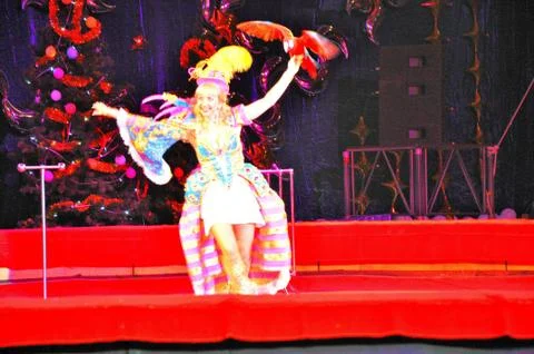 Parrots in the circus arena Stockfoto's