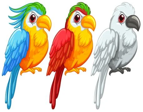 Parrots Stock Illustration