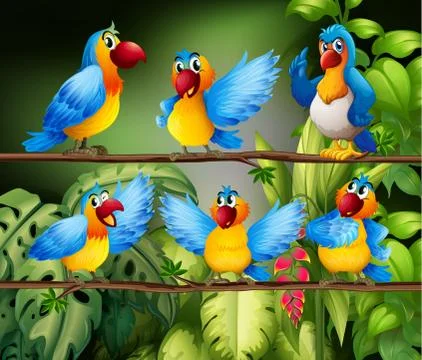 Parrots 스톡 일러스트