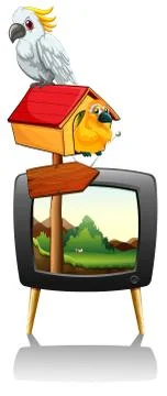 Parrots on television screen 스톡 일러스트
