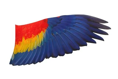 Parrot's Wings Foto stock