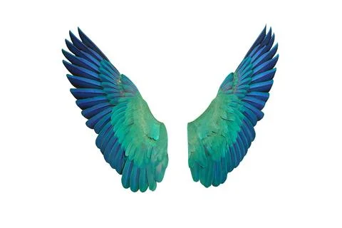 Parrot's wings Foto stock