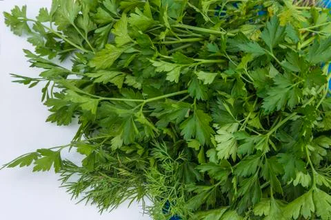 Parsely Stock Photos