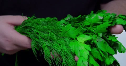 Parsley and dill Stock Footage 237370884