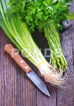 Parsley and onion Stock Photos