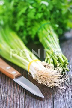 Parsley and onion Stock Photos