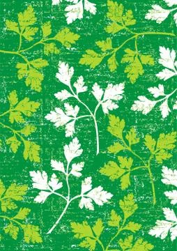 Parsley background on green. Illustrazione stock