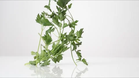 Parsley Bouncing Slow Motion White Tabletop Closeup Macro Food Studio Stock Footage 335004817
