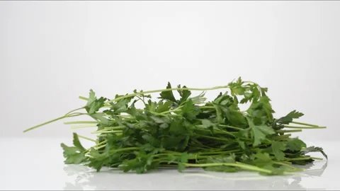Parsley Bouncing Slow Motion White Tabletop Closeup Macro Food Studio Stock Footage 335005722