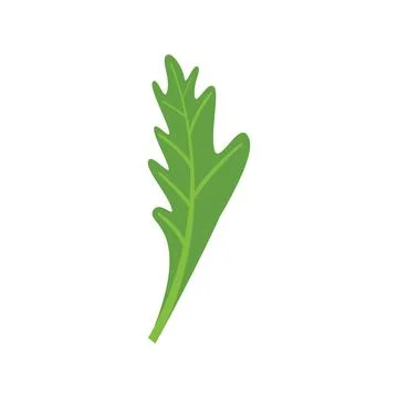 Parsley bunch icon flat vector. Herb leaf Stock Illustration
