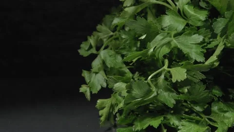 Parsley close up. Black background. Stockbeeldmateriaal 144353361